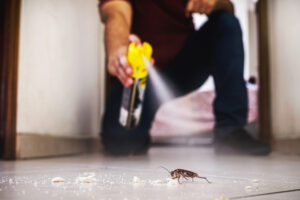 cockroach being killed indoors, aerosol poison spray, insect inf