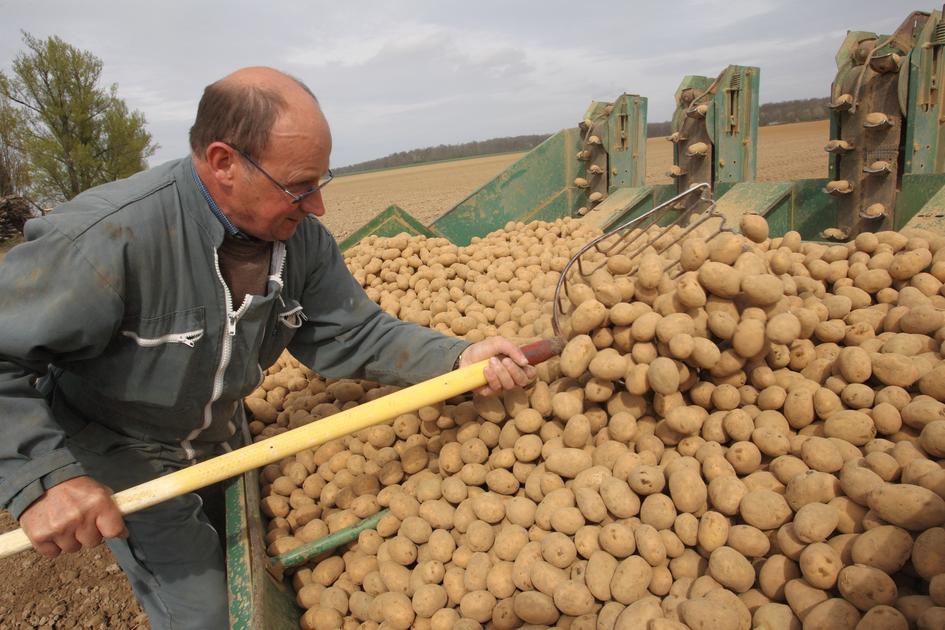 Agriculture